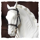 bridle
